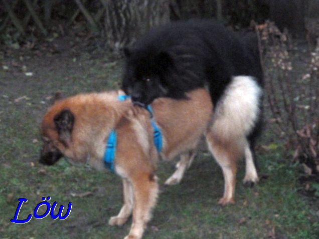 9.12.2020 - Ein weiterer Versuch